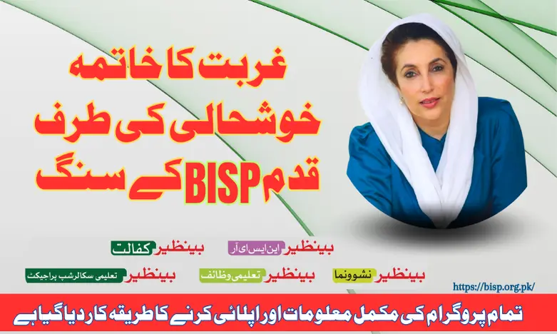BISP 8171 Program